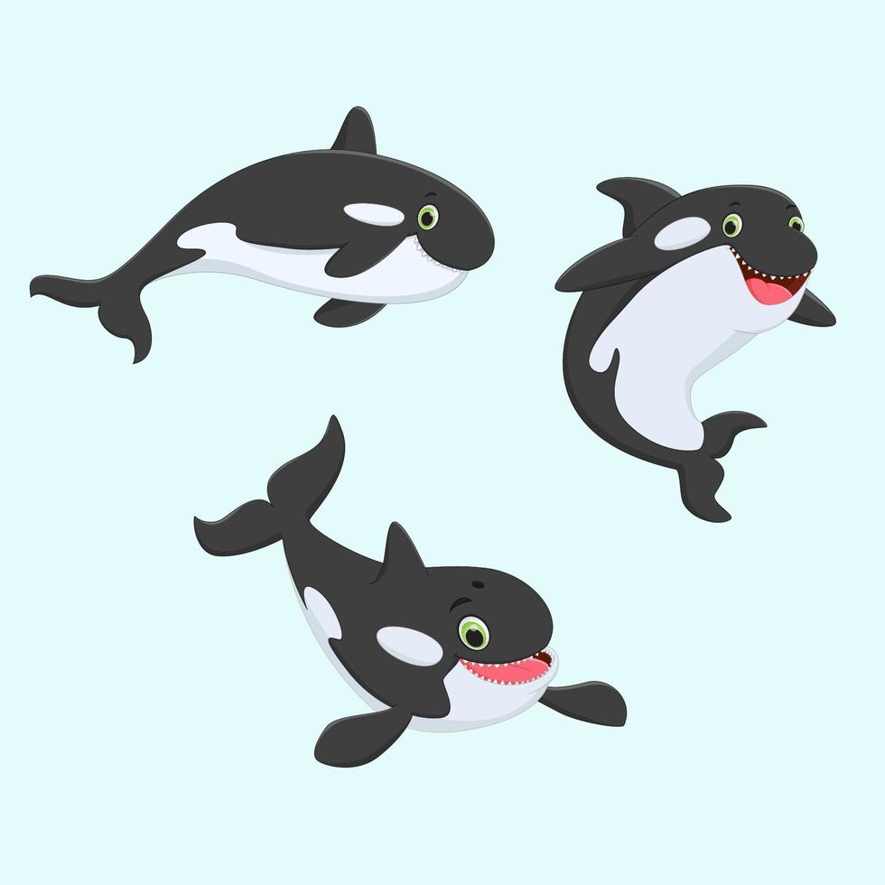 Cute grampus whale collection set vector