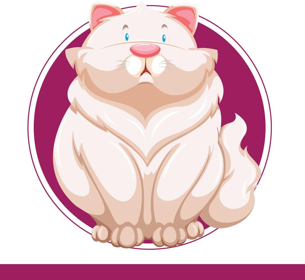 Cat animal vector character