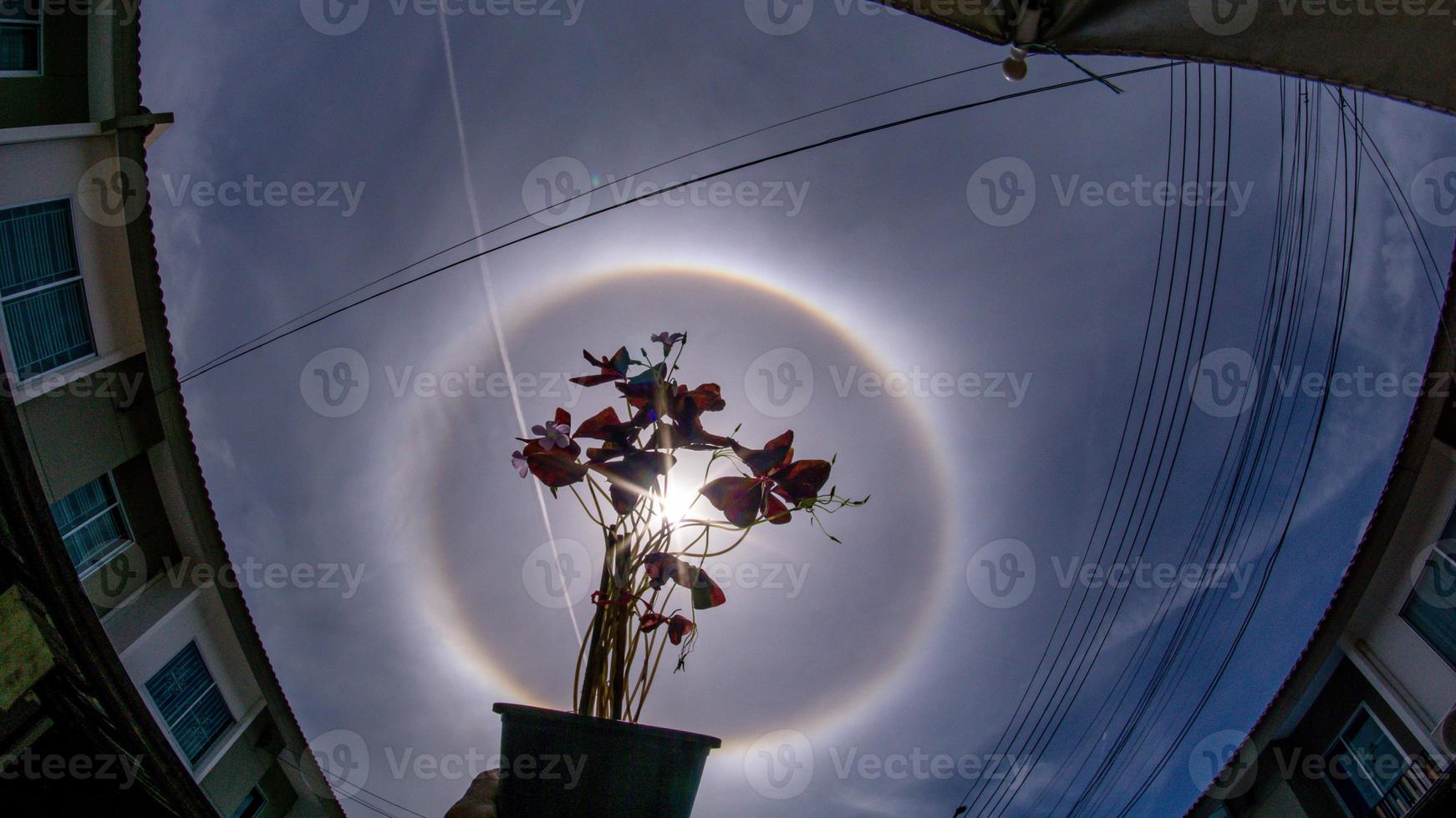 halo de sol natural en el jardín foto