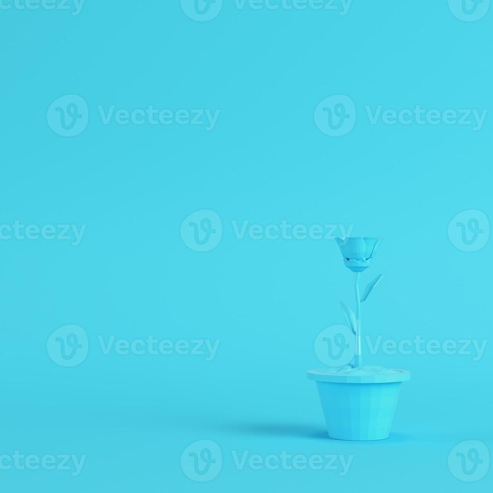Low poly flower in a pot on bright blue background in pastel colors photo