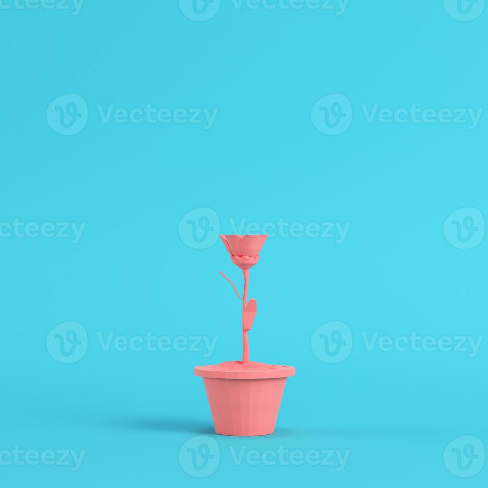 Pink low poly flower in a pot on bright blue background in pastel colors photo