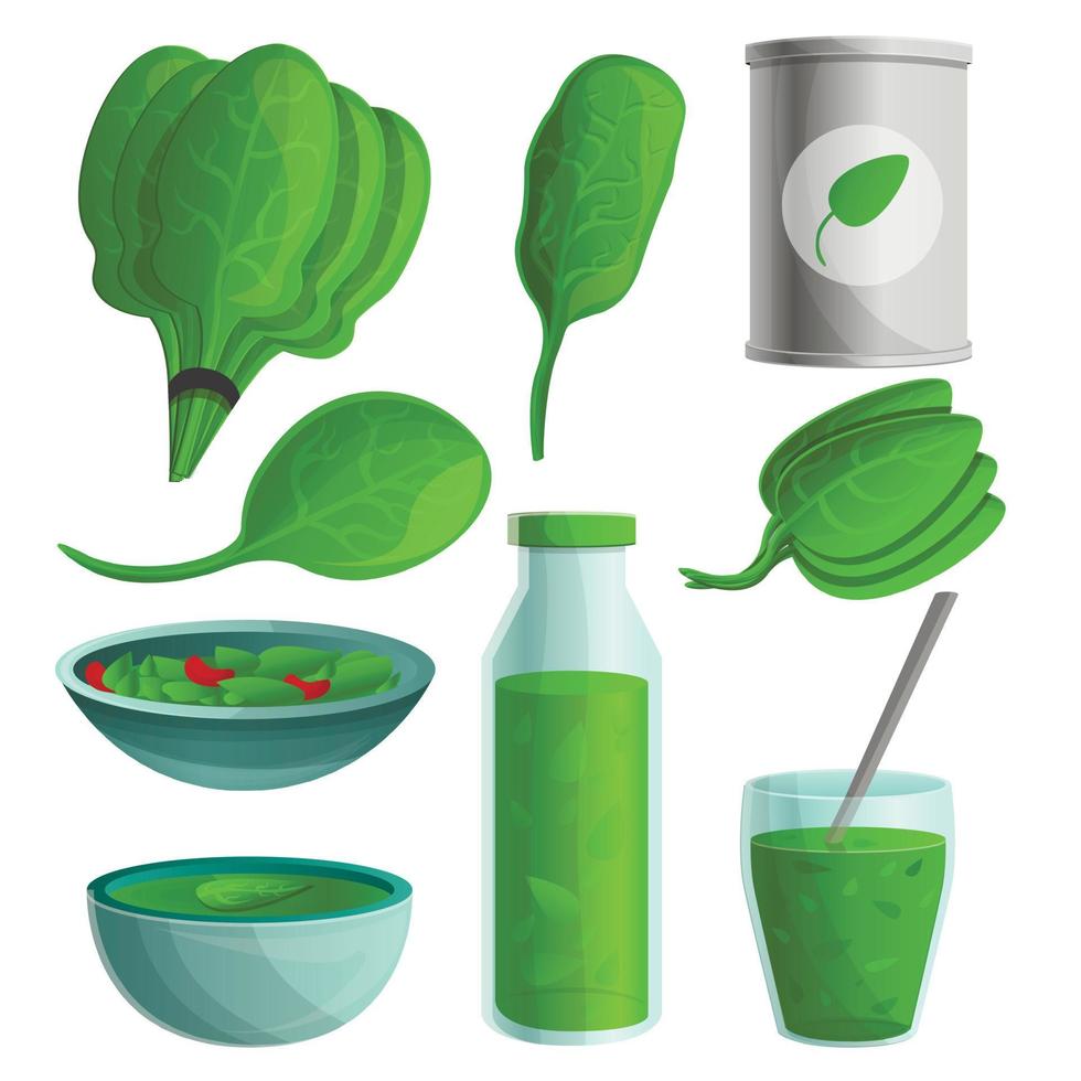 Spinach icon set, cartoon style vector