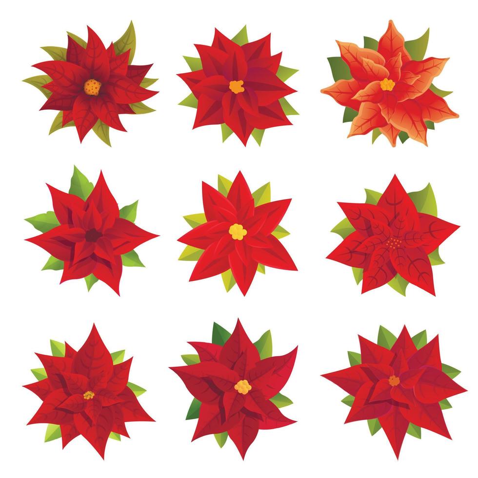 conjunto de iconos de poinsettia, estilo de dibujos animados vector