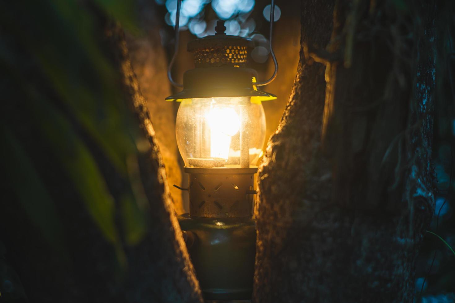 antique oil lamp hanging on a tree in the forest in the evening camping atmosphere.Travel Outdoor Concept image.soft focus. photo