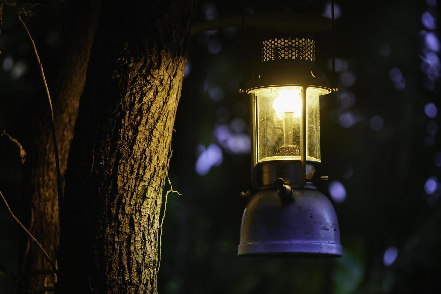 lámpara de aceite antigua colgada de un árbol en el bosque en la atmósfera de campamento de la noche. imagen del concepto de viaje al aire libre. enfoque suave. foto