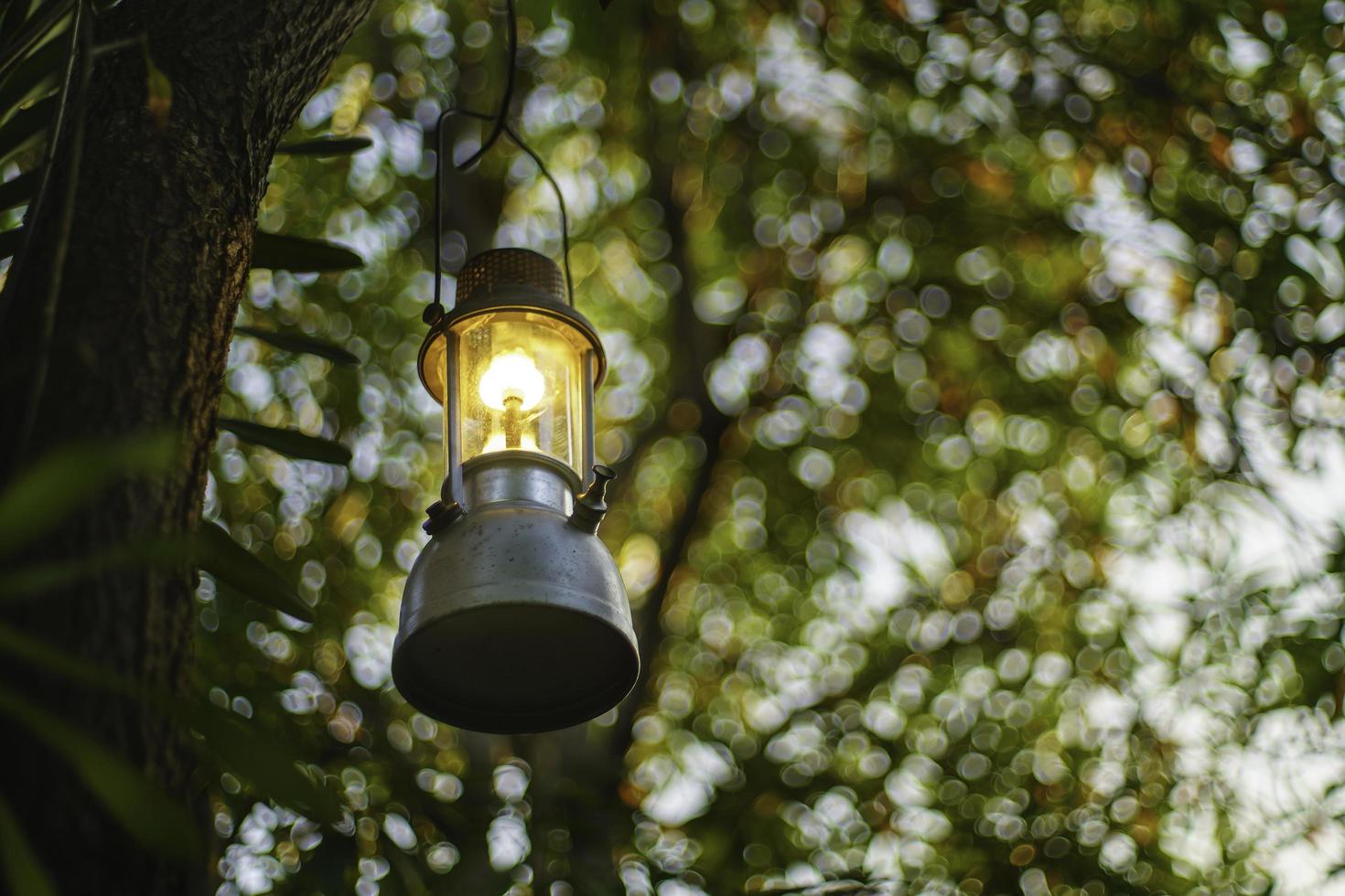 lámpara de aceite antigua colgada de un árbol en el bosque en la atmósfera de campamento de la noche. imagen del concepto de viaje al aire libre. enfoque suave. foto
