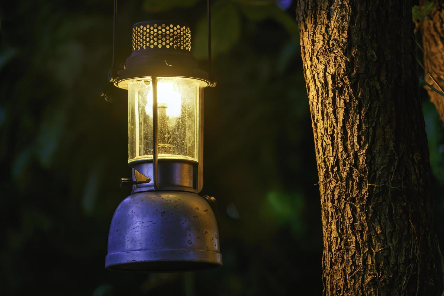 lámpara de aceite antigua colgada de un árbol en el bosque en la atmósfera de campamento de la noche. imagen del concepto de viaje al aire libre. enfoque suave. foto