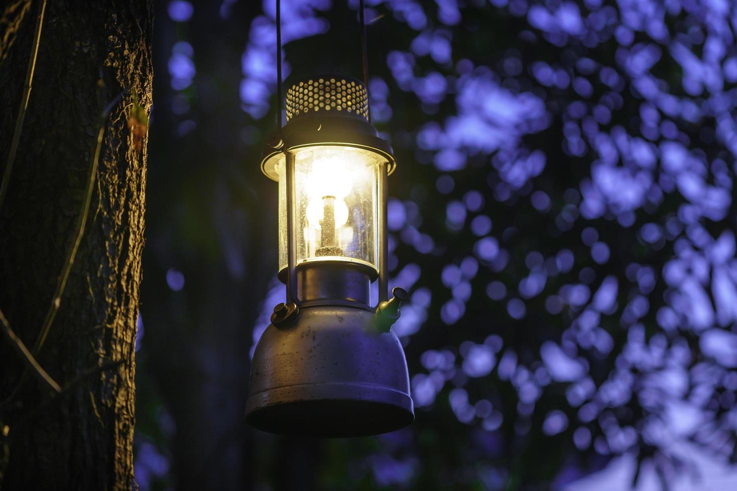 antique oil lamp hanging on a tree in the forest in the evening camping atmosphere.Travel Outdoor Concept image.soft focus. photo