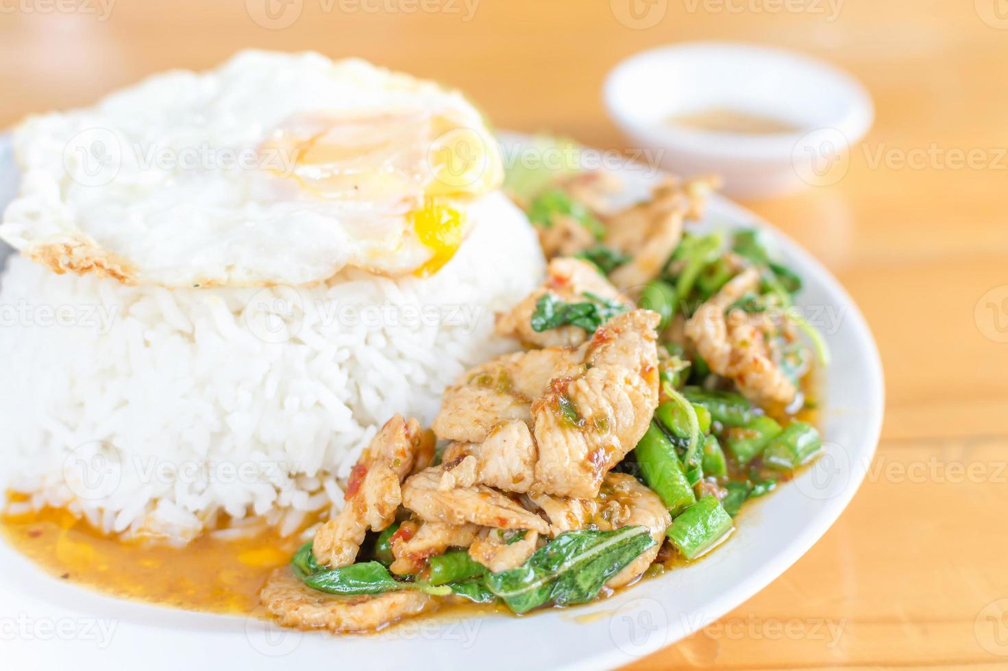 rice topped with stir-fried chicken and basil photo