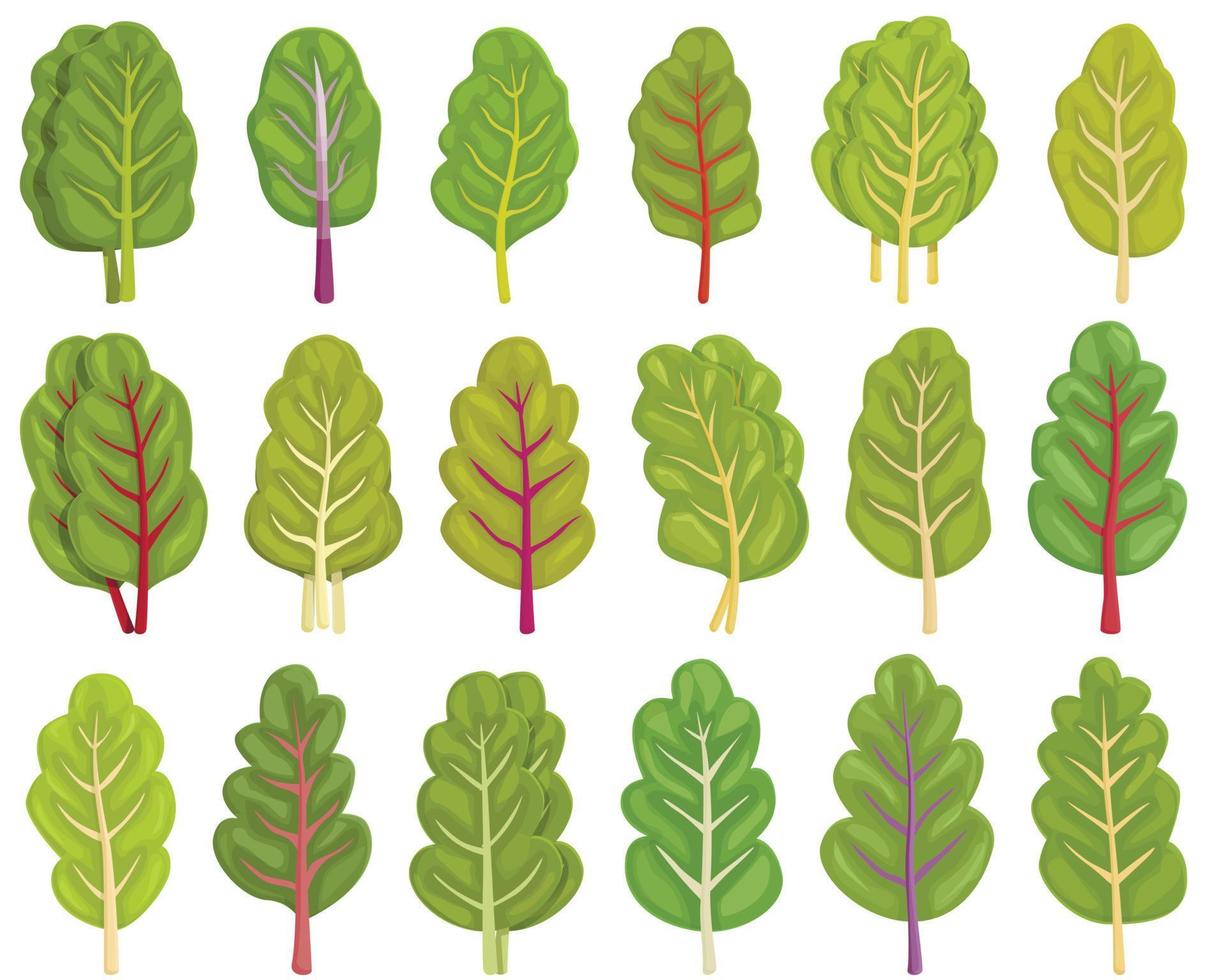 Chard icons set cartoon vector. Agriculture mangold vector