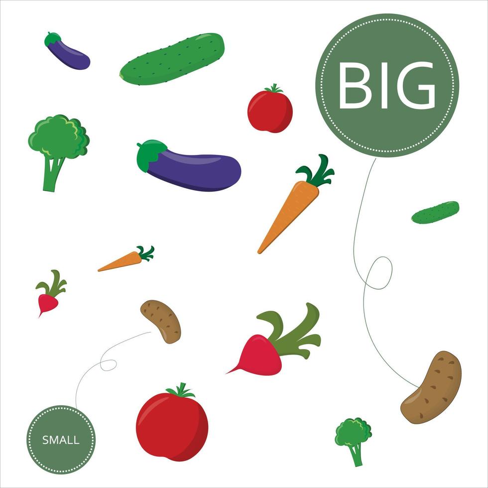 Match the vegetables by size big or small. Children's educational game. vector