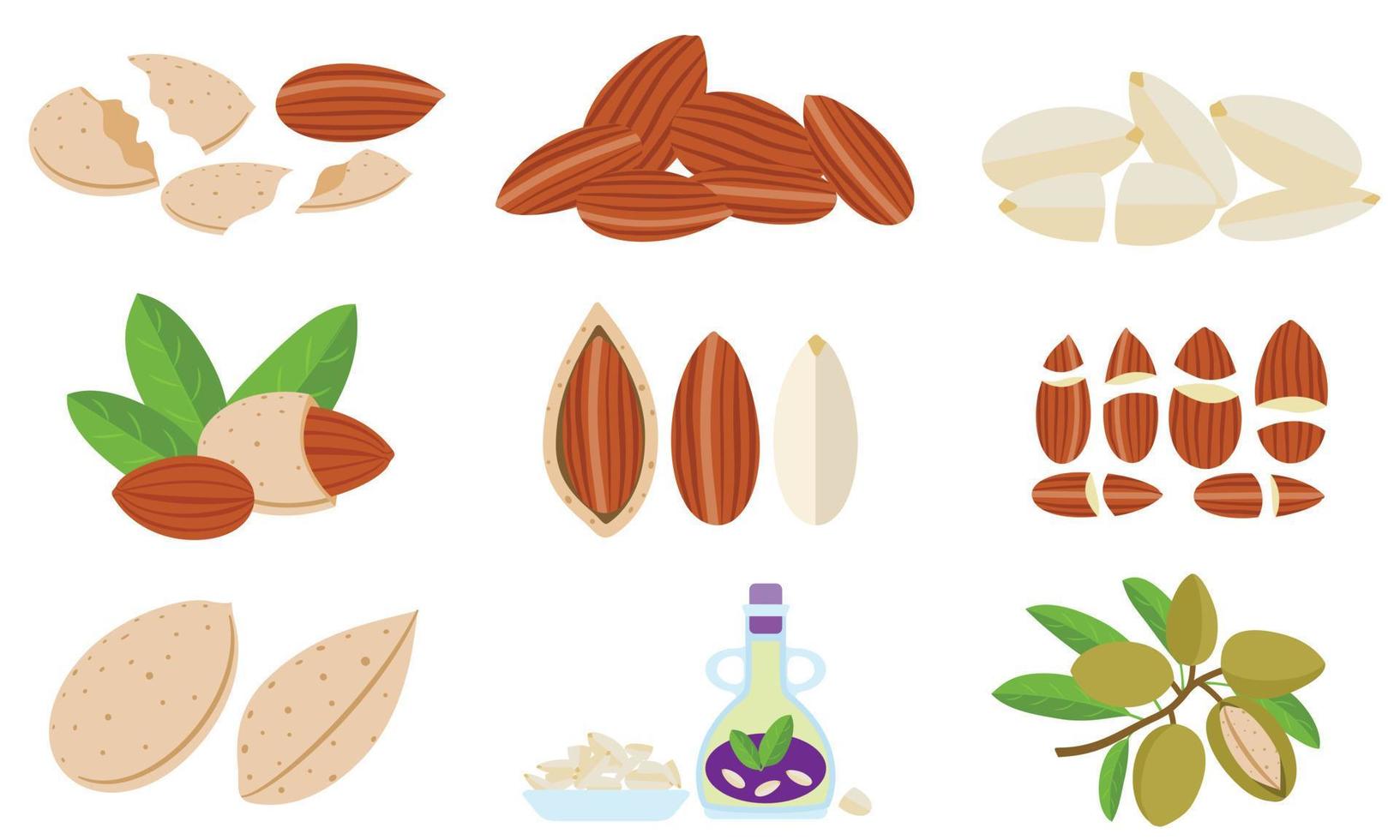 conjunto de iconos de almendras, estilo plano vector