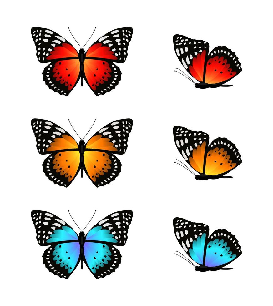Multicolored butterflies set of elements for design vector