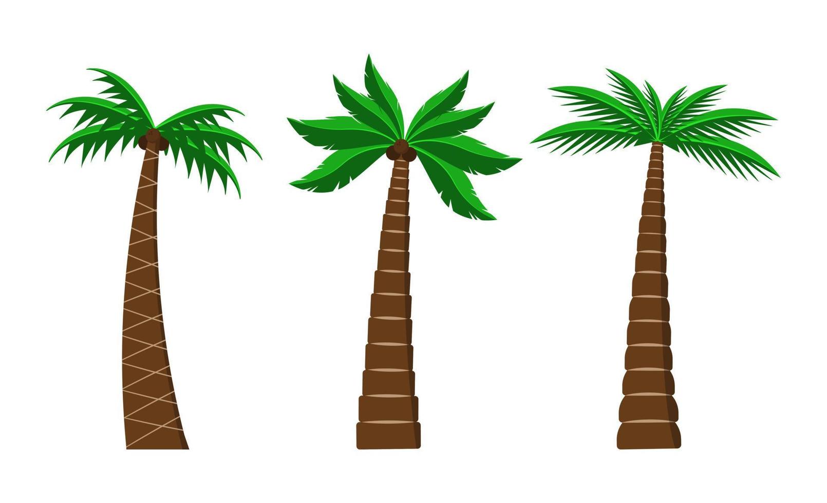 Palms of different shapes isolated on white background set. Vector flat design elements for cards, banners and flyers.