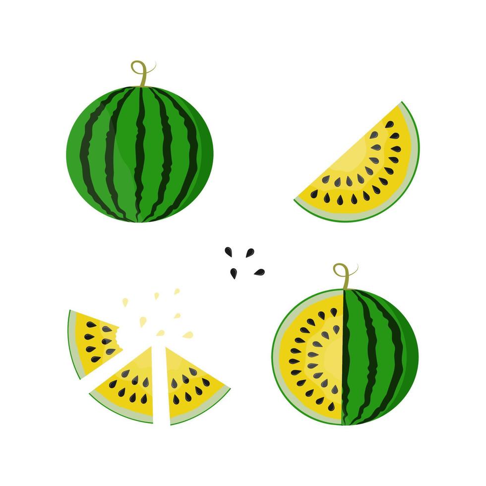 Yellow juicy watermelon slices. Vector flat illustration