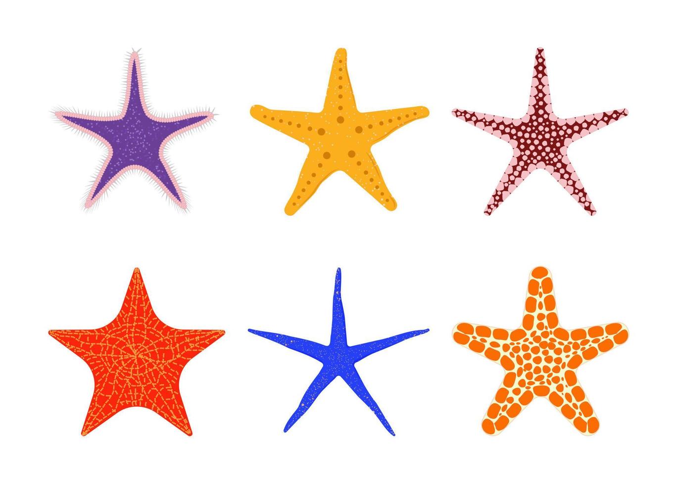 Starfish vector set of flat illustrations