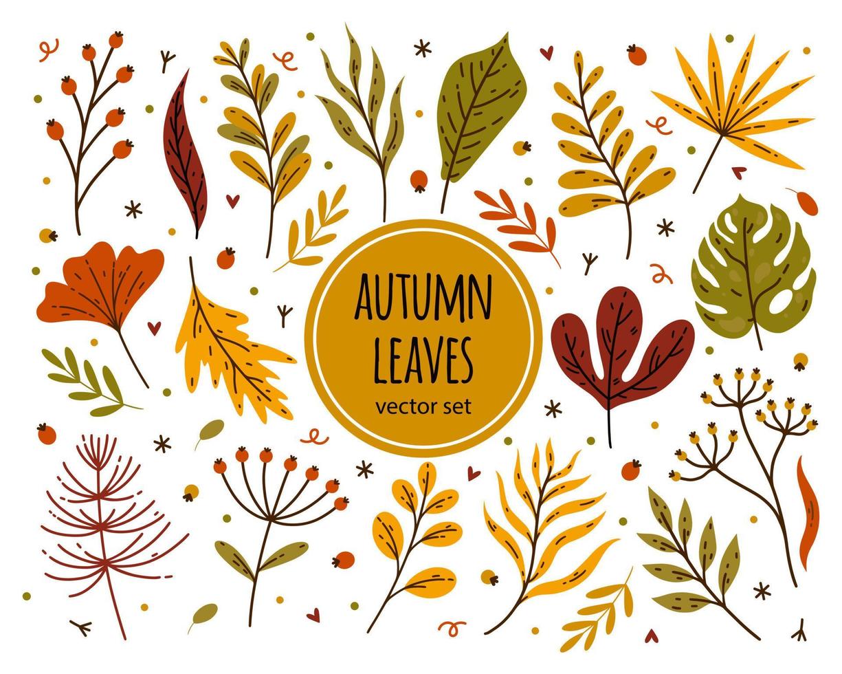Bright autumn leaves vector set. Forest, meadow, field plants. Hand drawn doodle isolated on white. Leaves of garden, wild trees - maple, oak, birch, rowan. Collection of flat botanical clipart