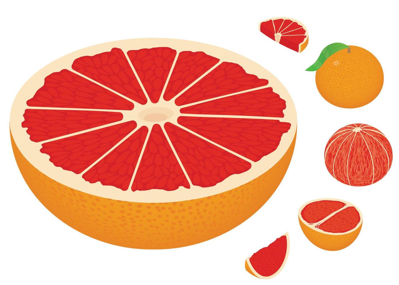 Grapefruit icons set, isometric style vector