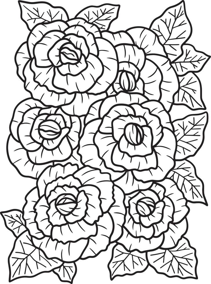 Begonia Flower Coloring Page for Adults vector