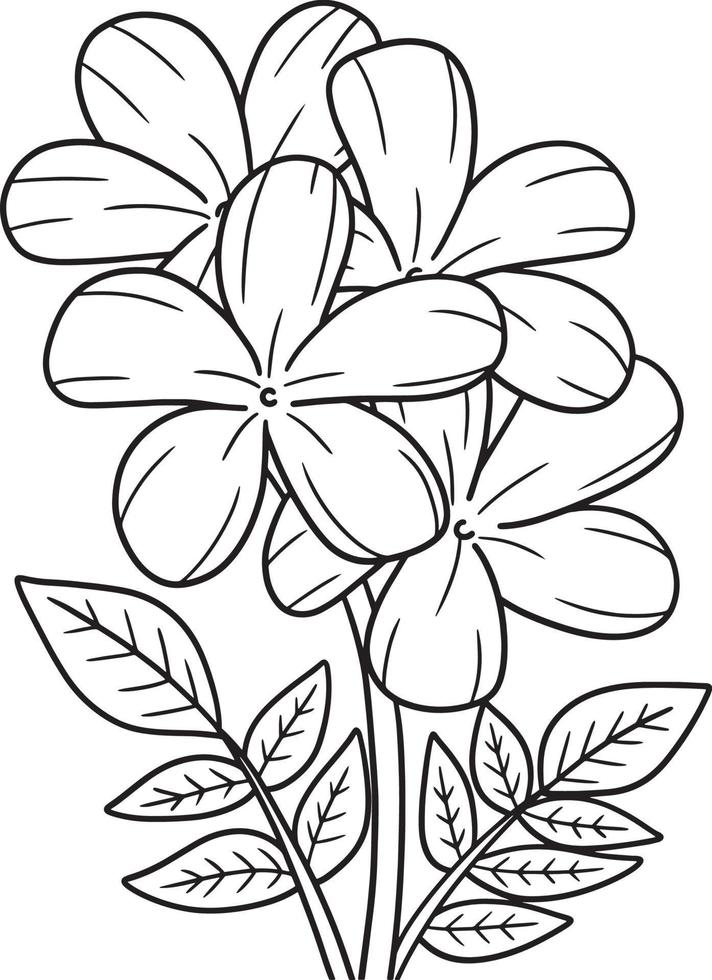 Jasmine Flower Coloring Page for Adults vector