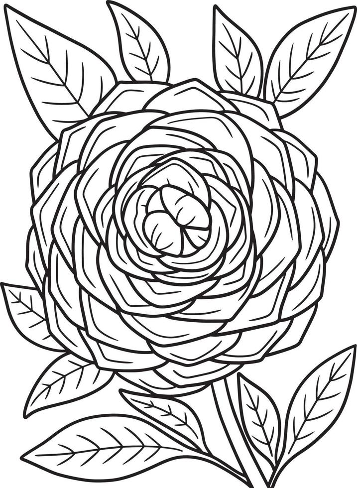 Camellia Flower Coloring Page for Adults vector