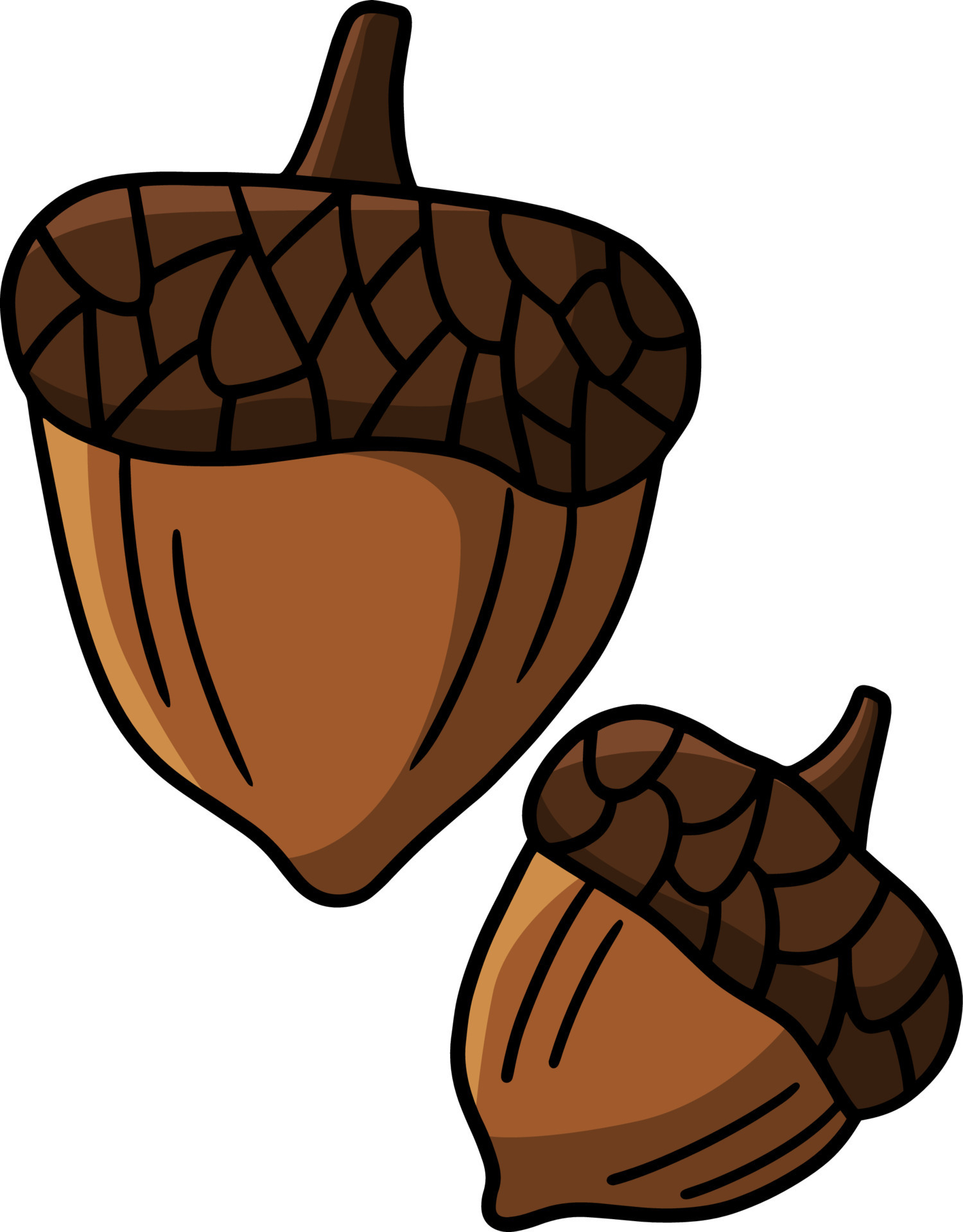 Acorn Cartoon Colored Clipart Illustration 8944144 Vector Art at Vecteezy