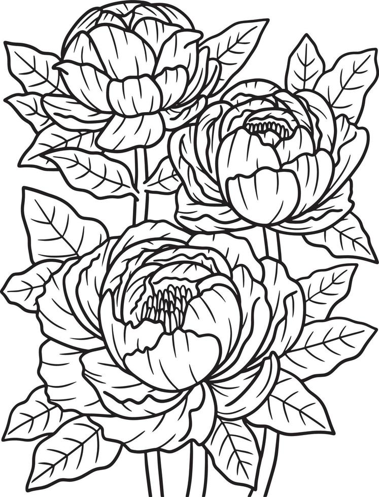 Peonies Flower Coloring Page for Adults vector