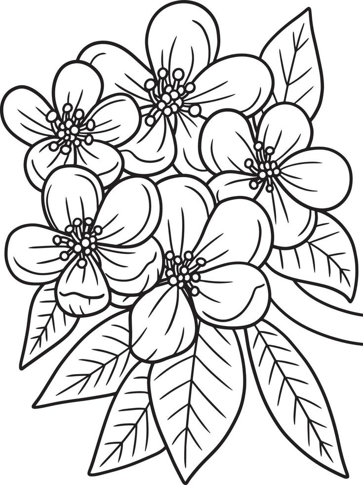 Apple Blossom Flower Coloring Page for Adults vector