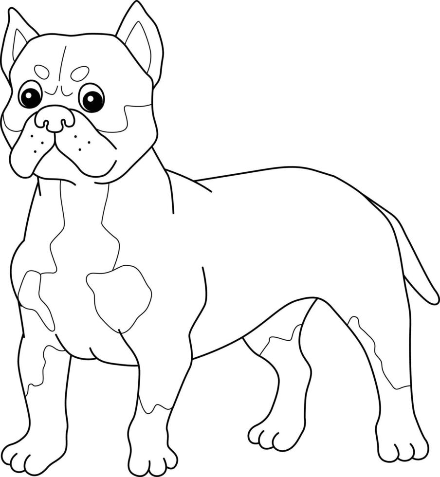 American Bully Dog aislado página para colorear vector