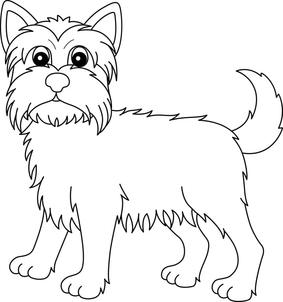 yorkshire terrier aislado página para colorear para niños vector