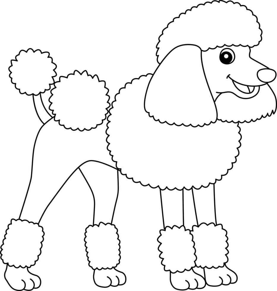 poodle dog aislado página para colorear para niños vector