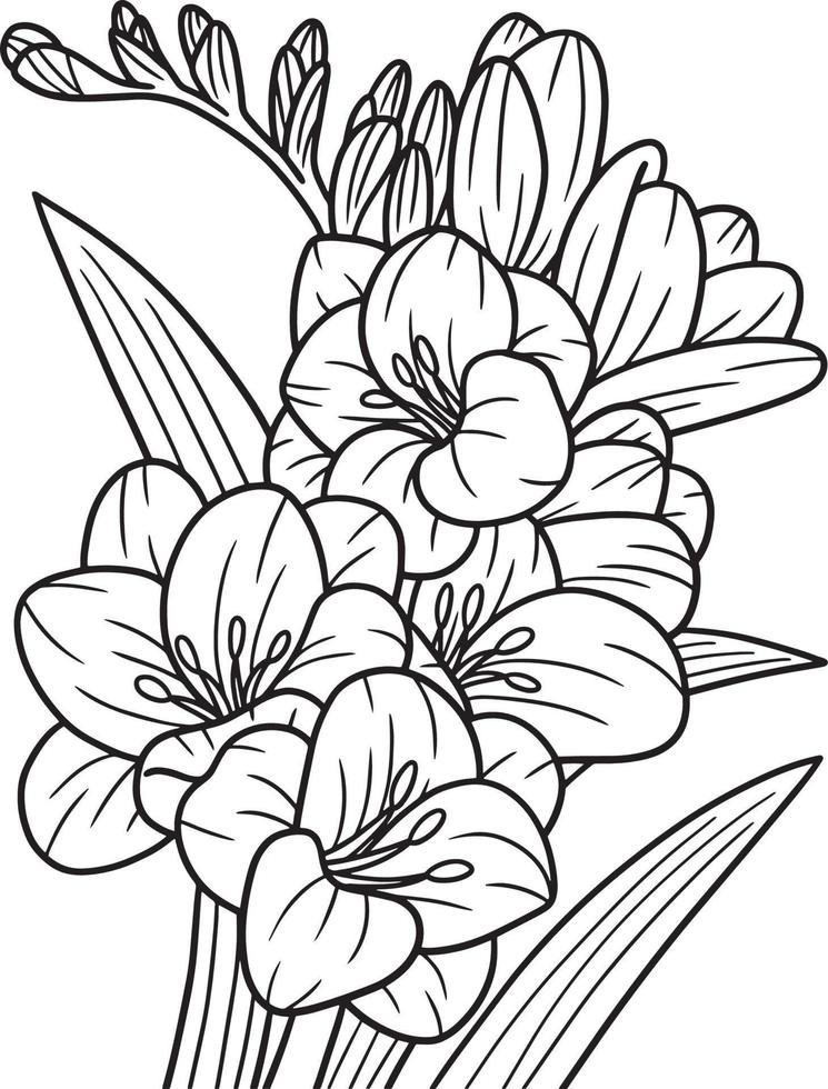 Freesia Flower Coloring Page for Adults vector