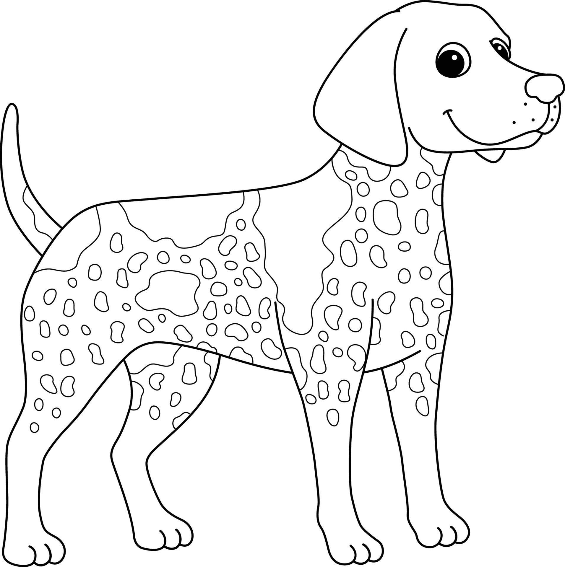 German Shorthaired Pointer Dog Isolated Coloring 8944241 Vector Art at