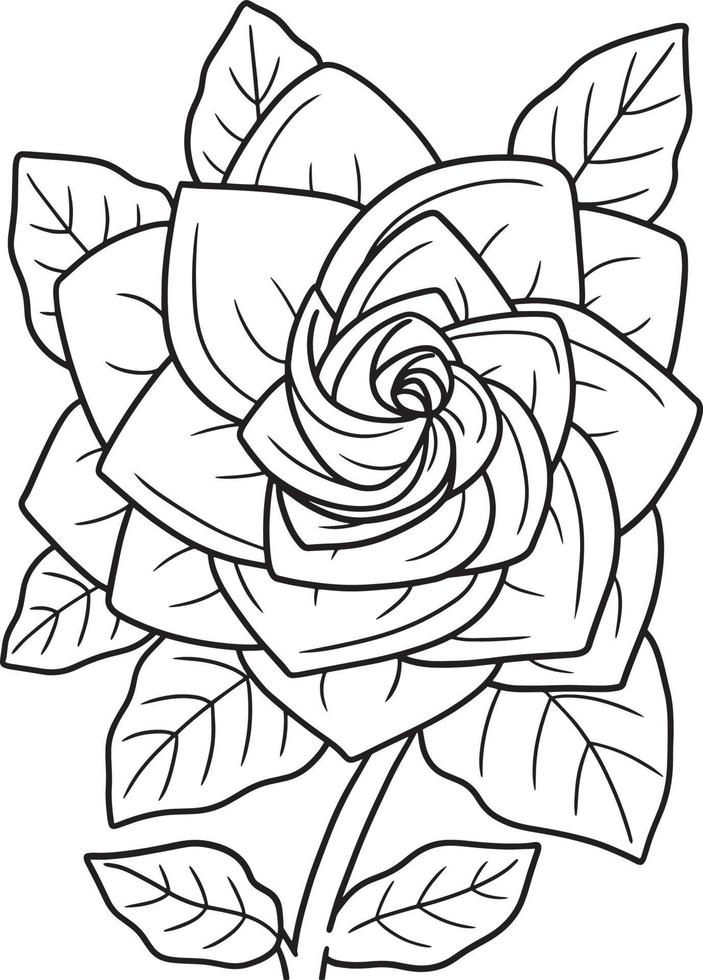 Gardenia Flower Coloring Page for Adults vector