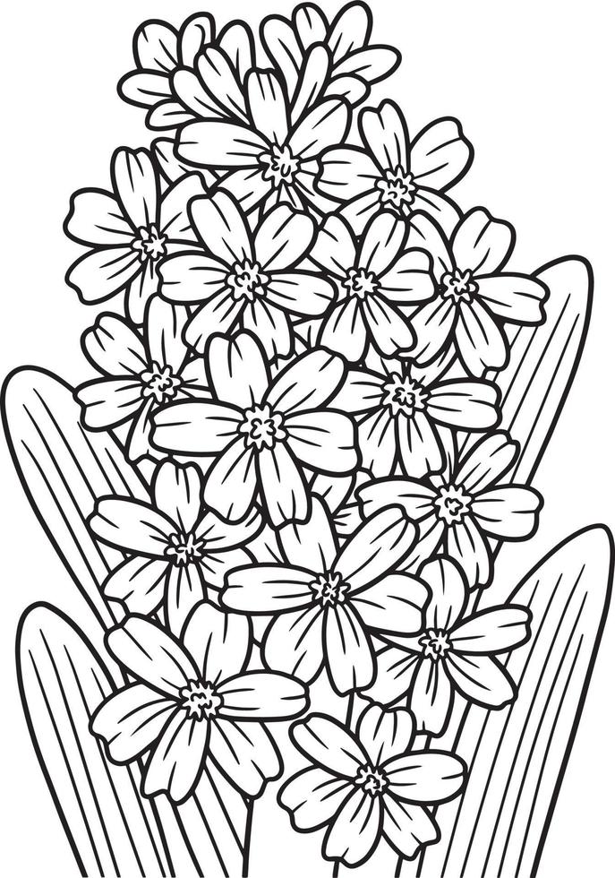 Hyacinth Flower Coloring Page for Adults vector