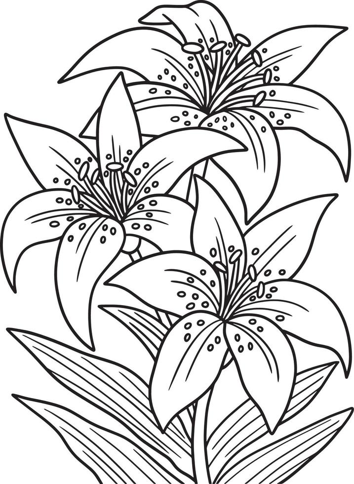 Lilies Flower Coloring Page for Adults vector