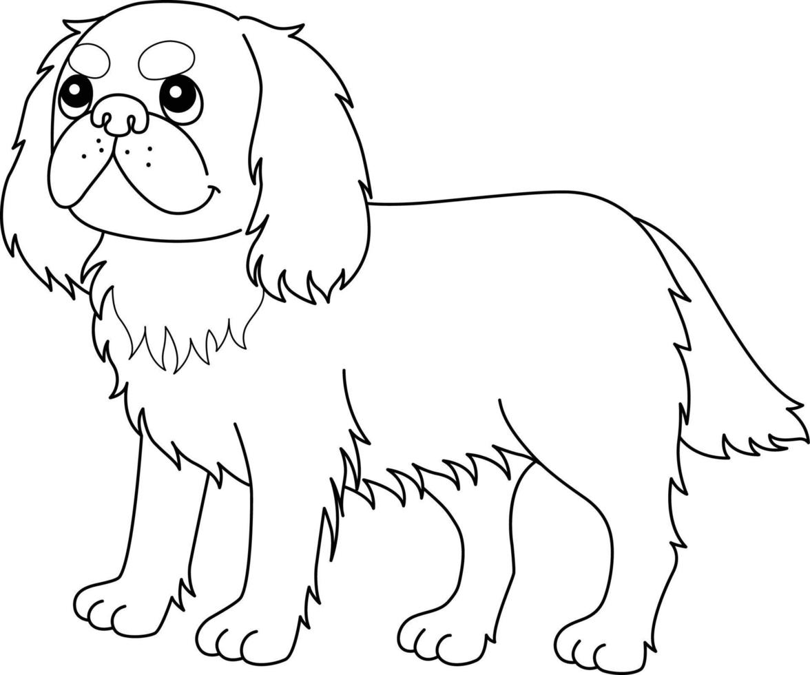 King Charles Spaniel Dog Isolated Coloring Page vector