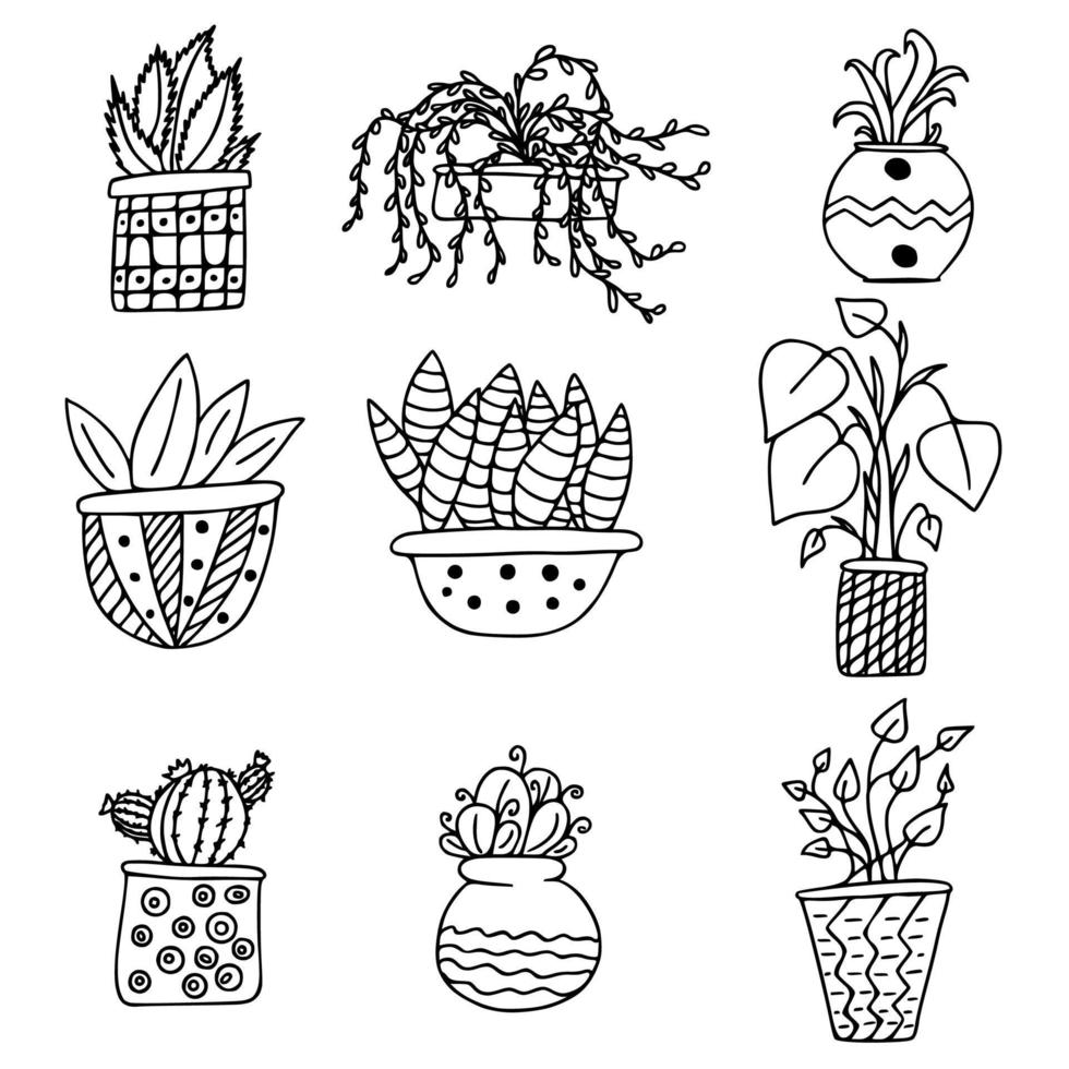 conjunto colección doodle planta de interior en maceta vector