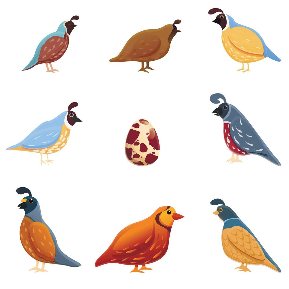 Quail icons set, cartoon style vector