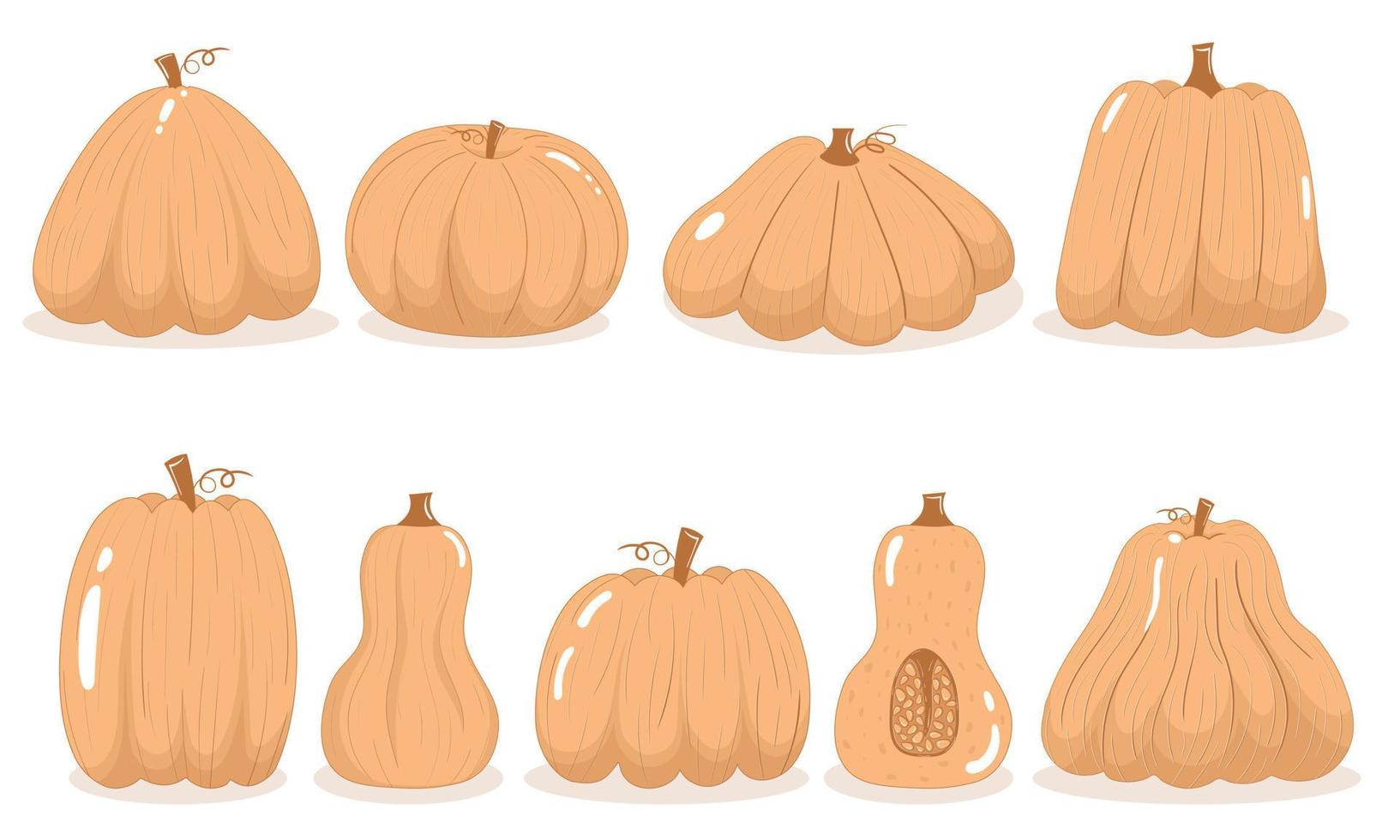 Collection of simple pumpkins of various shapes and sizes in a flat style vector