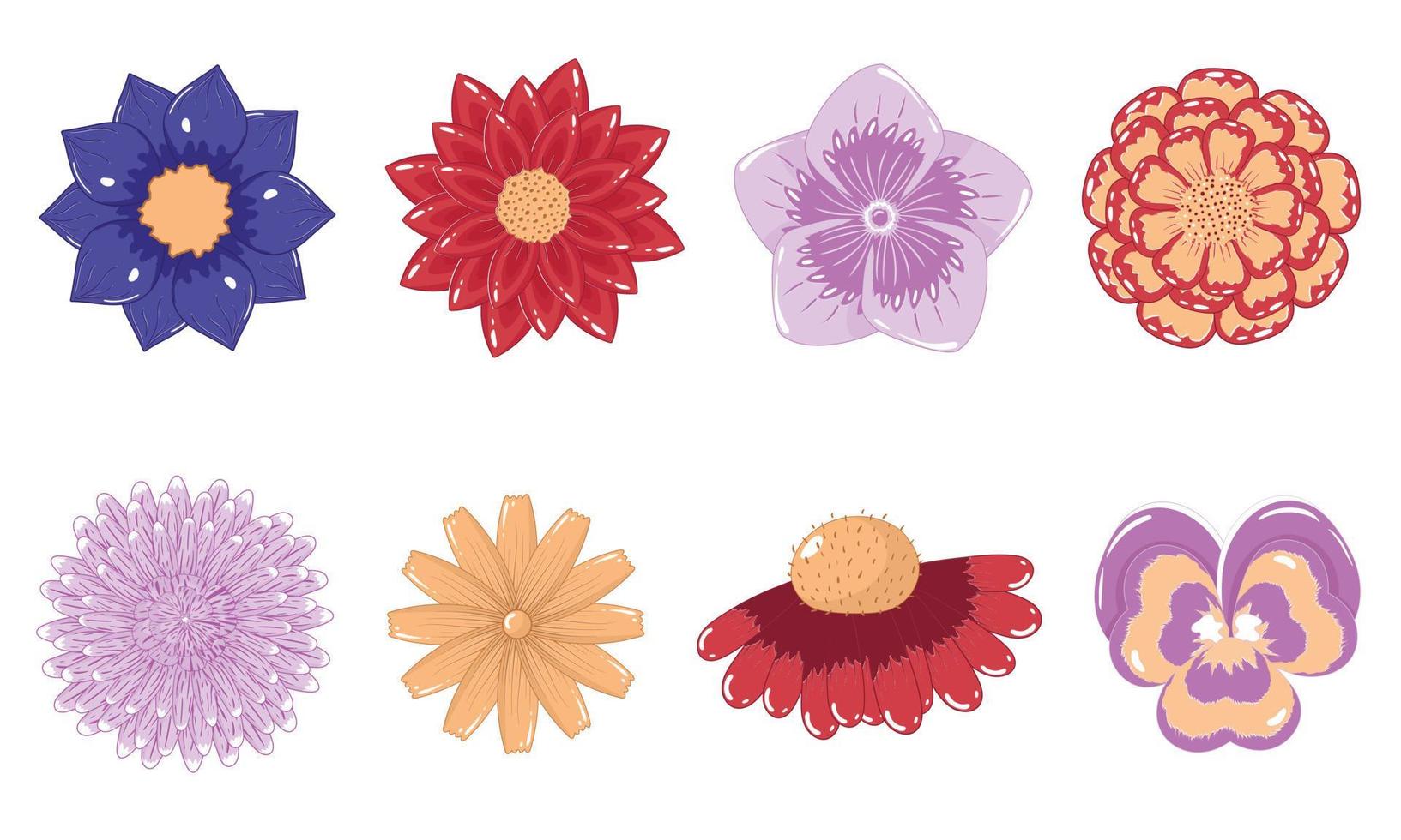 Collection of autumn flower buds in flat style vector