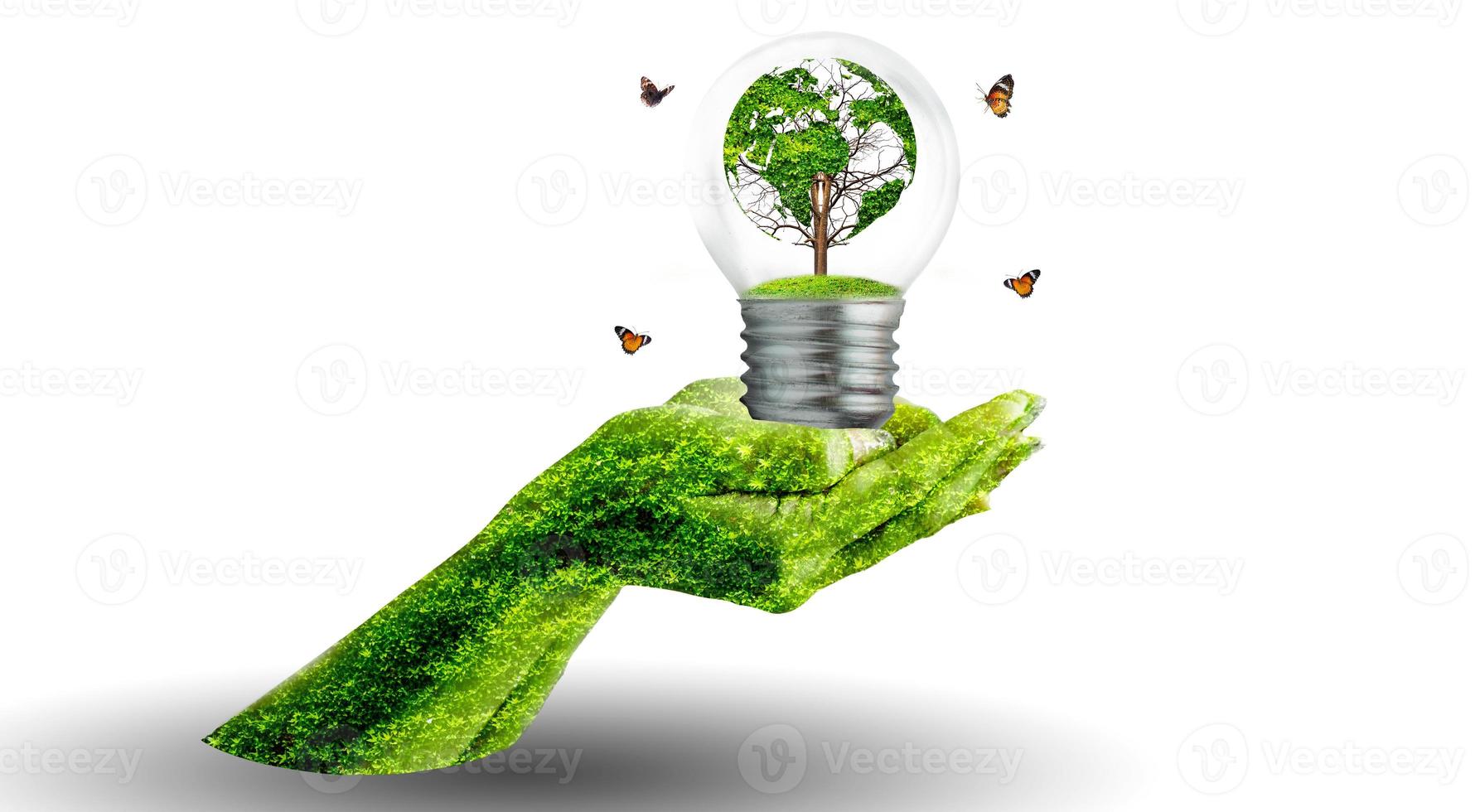 world shaped tree in light bulb concept of environmental conservation and protecting nature photo