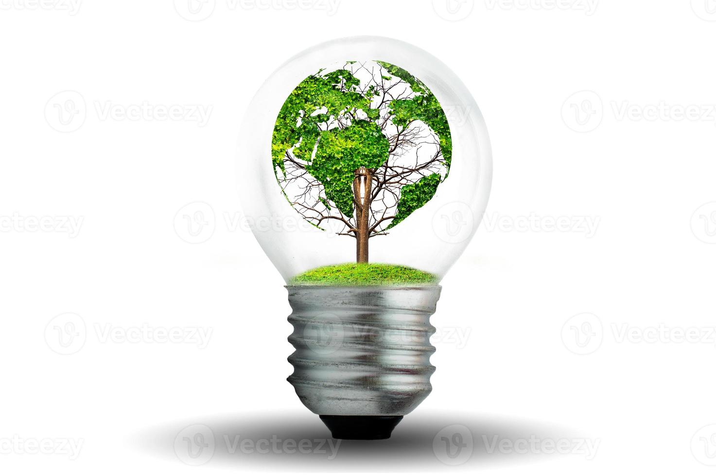 world shaped tree in light bulb concept of environmental conservation and protecting nature photo