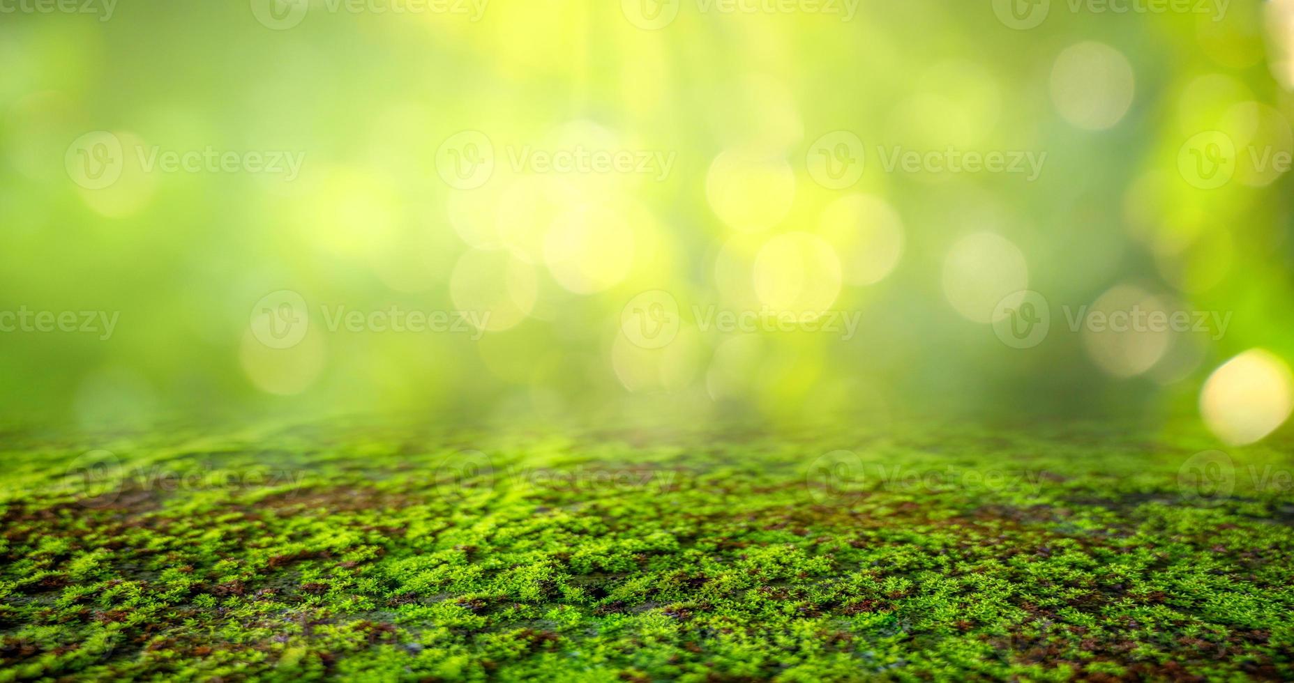 Fondo de musgo verde, textura cubierta de musgo foto