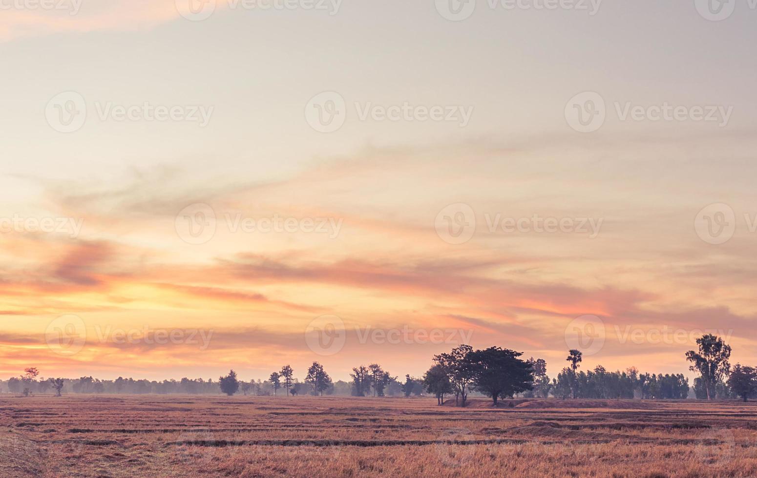 paisaje rural los campos al amanecer por la mañana y hermoso cielo foto