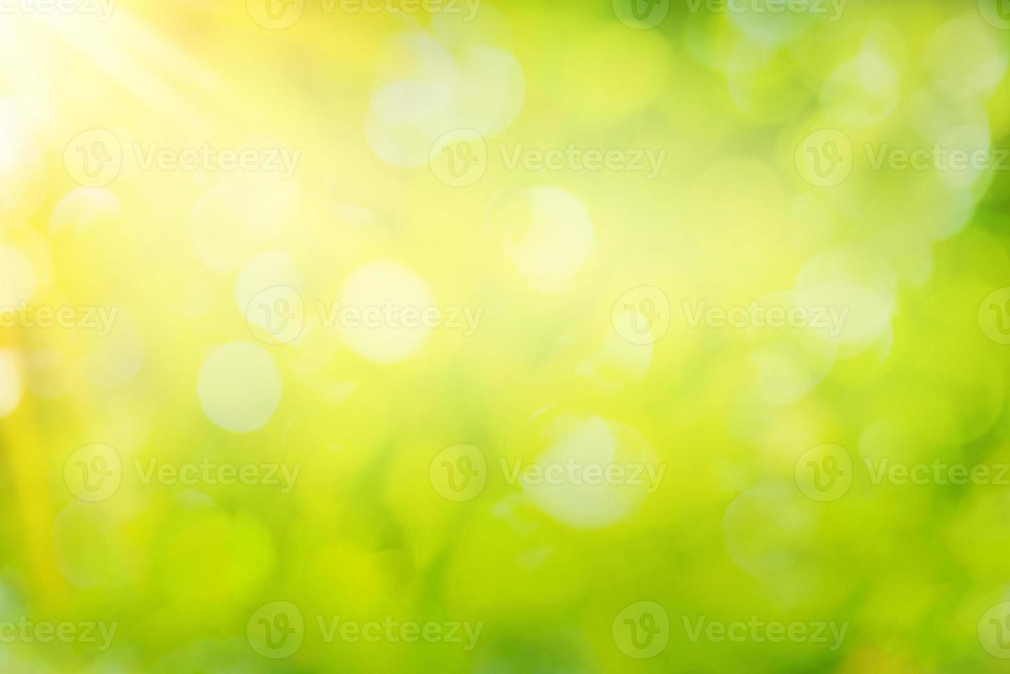beautiful natural green leaf abstract blurred bokeh light background photo