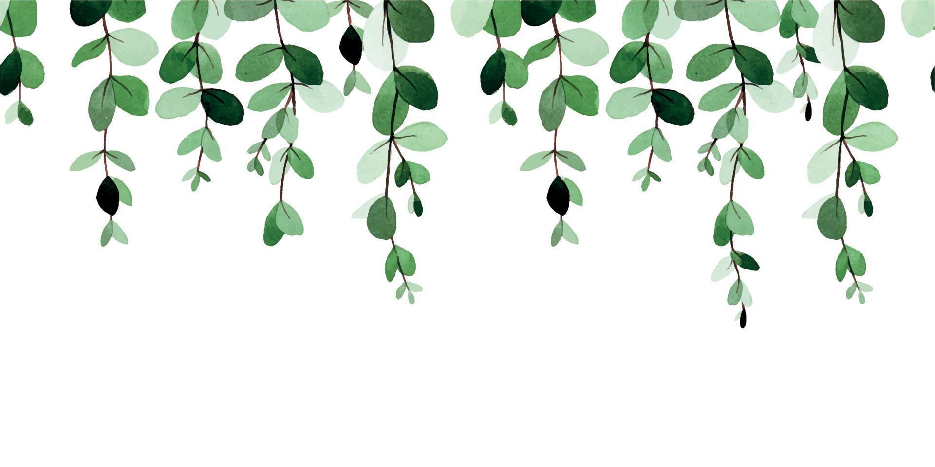 dibujo de acuarela. borde sin costuras, patrón con hojas de eucalipto abstractas. aislado en la impresión de fondo blanco con hojas y ramas verdes estilizadas, borde, marco, pancarta vector