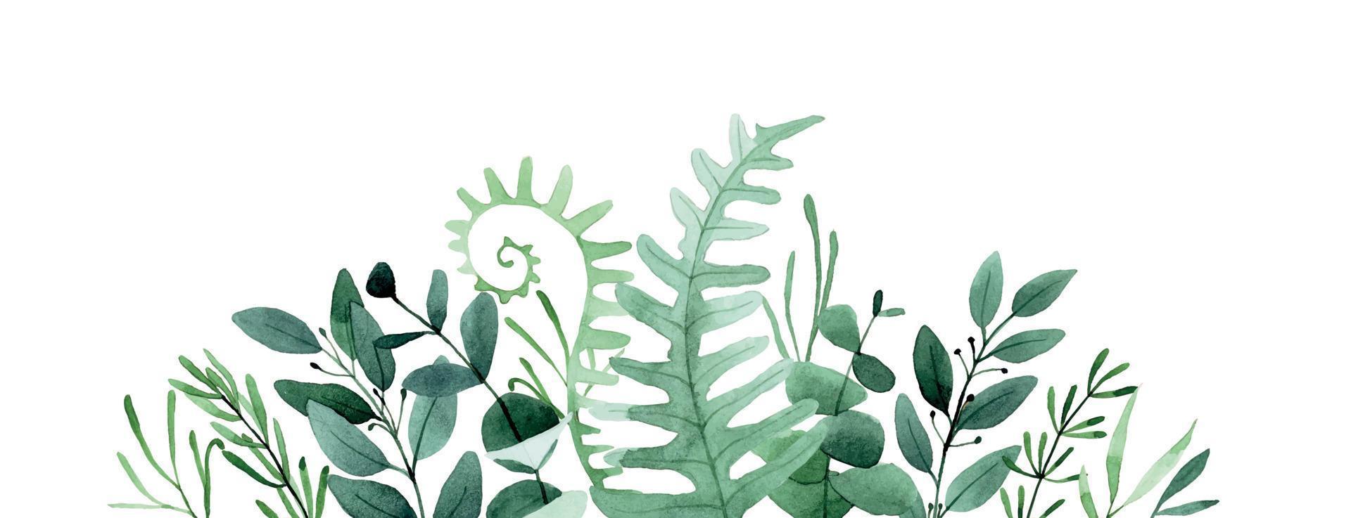 watercolor drawing. border, frame of forest leaves and herbs. composition, bouquet of green leaves, fern, eucalyptus, lavender, rosemary vector