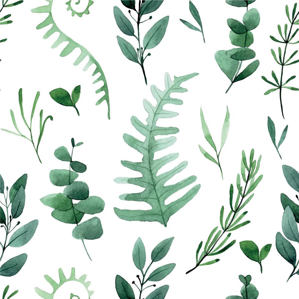 watercolor drawing. seamless pattern with forest leaves and herbs. print green leaves of fern, eucalyptus, rosemary isolated on white background vector