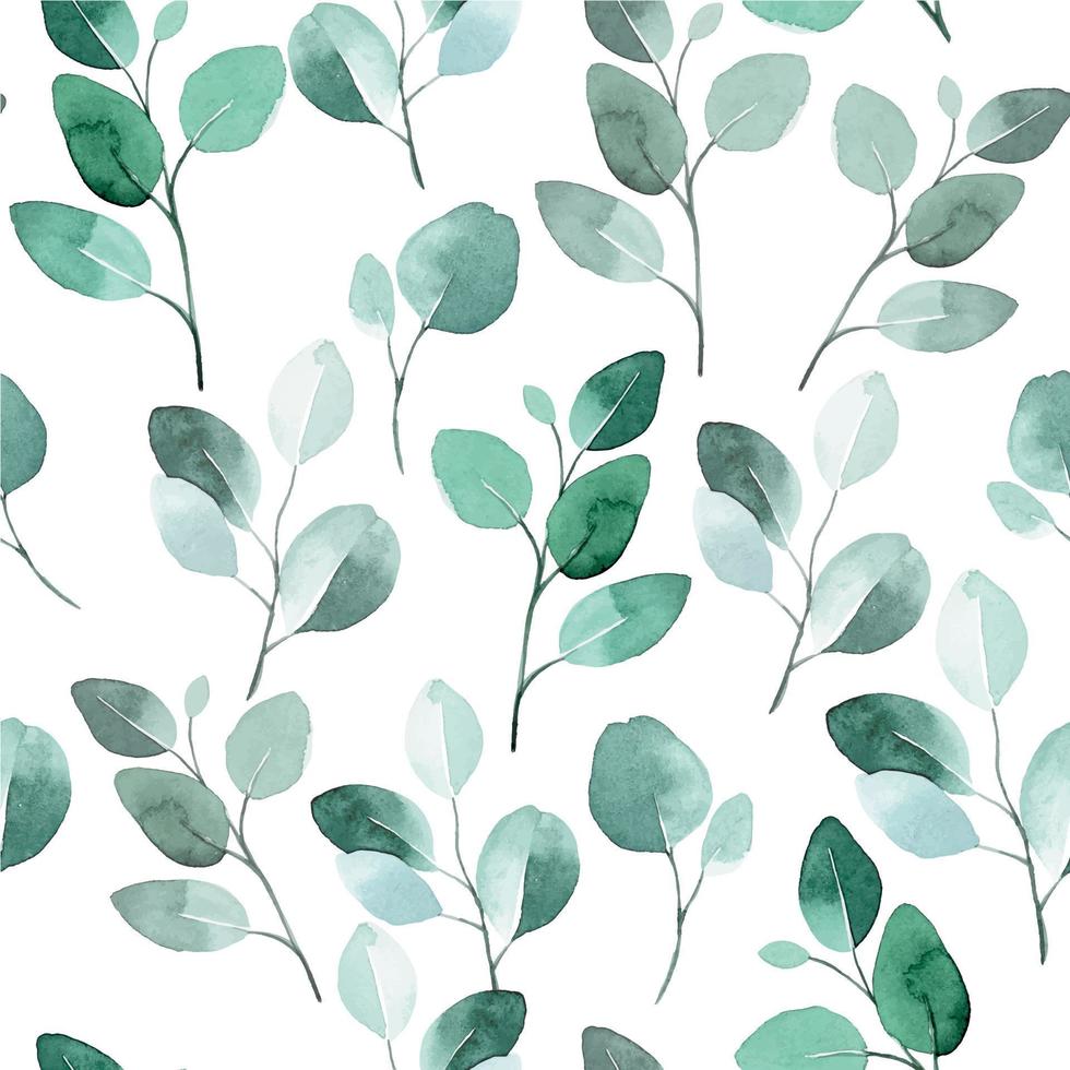 watercolor seamless pattern with eucalyptus leaves. green tropical eucalyptus leaves on white background vector